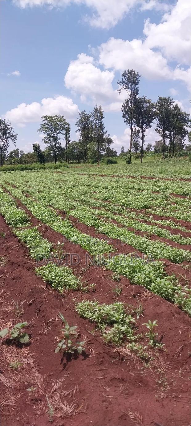 8 Acres on Sale Makutano Mwea