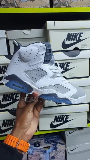Air Jordan 6 Cool Grey