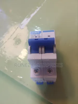 Double Pole Chint 100 Amps Original