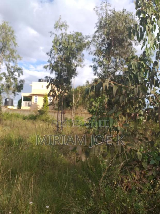 Kenyatta Road - thumbnail 4