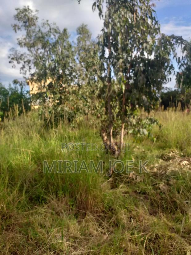 Kenyatta Road - thumbnail 8