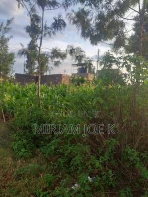 Kenyatta Road - thumbnail 2