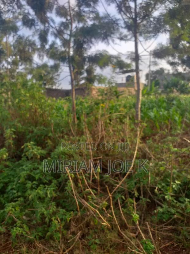 Kenyatta Road - thumbnail 5