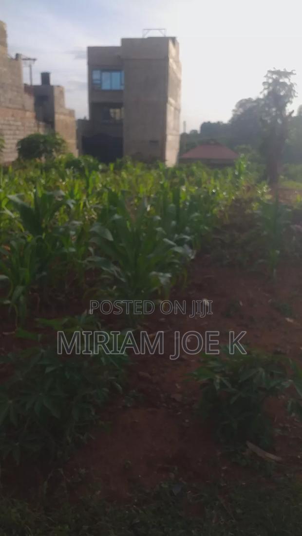 Kenyatta Road - thumbnail 6