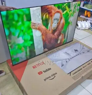 Frameless 4 K Webos Vitron 55 Inch Tv
