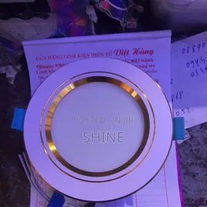 Silver And Gold Ring Downlighters