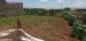 Naivasha Kayole 1/8 Plot for Sale