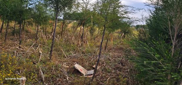 1⁄4 Plot for Sale in Eldoret Kiplombe at Kibulgeny Opposite New MTRH - thumbnail 3