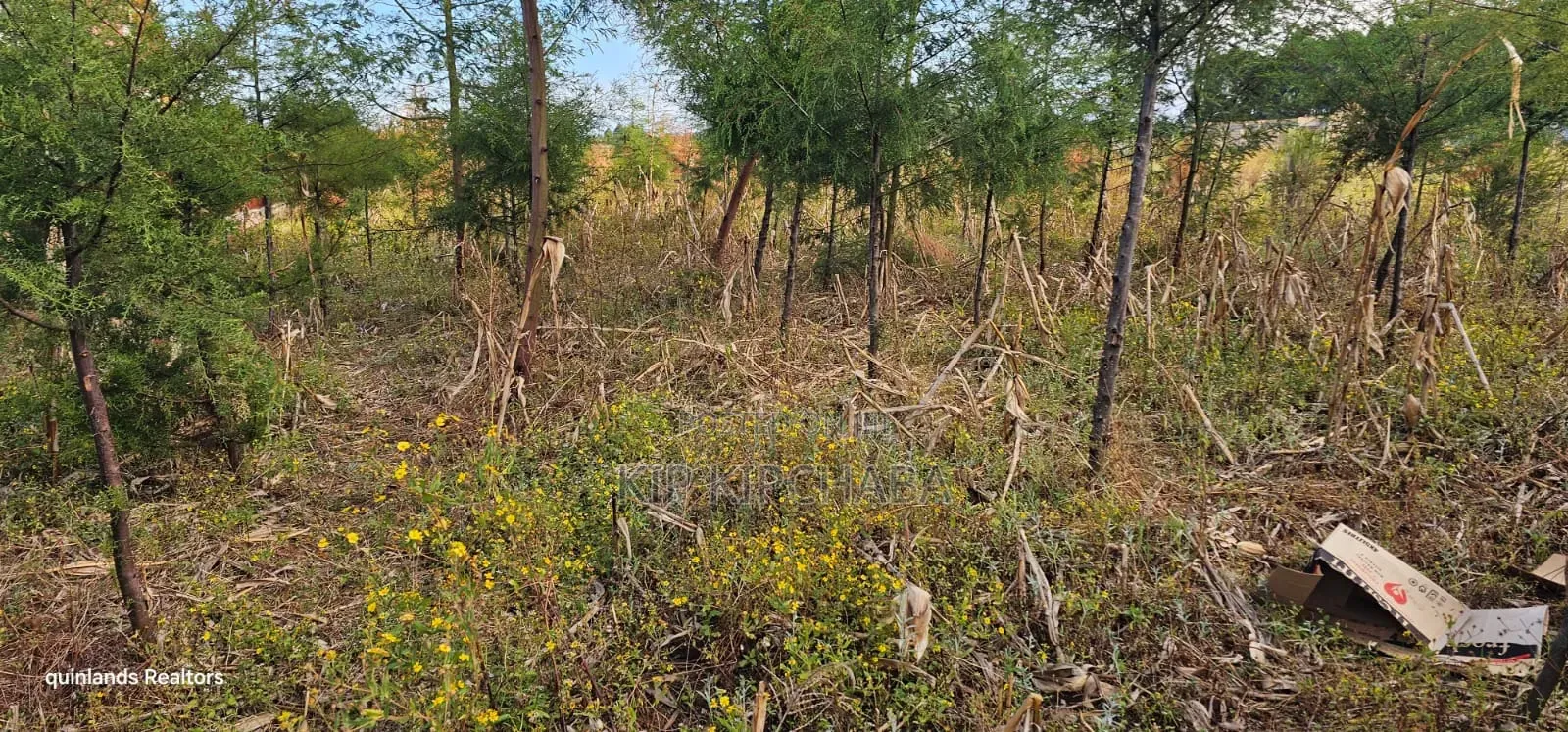 1⁄4 Plot for Sale in Eldoret Kiplombe at Kibulgeny Opposite New MTRH