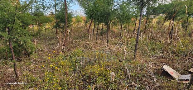 1⁄4 Plot for Sale in Eldoret Kiplombe at Kibulgeny Opposite New MTRH - thumbnail 4
