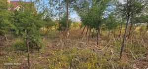 1⁄4 Plot for Sale in Eldoret Kiplombe at Kibulgeny Opposite New MTRH