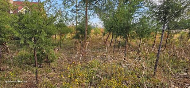 1⁄4 Plot for Sale in Eldoret Kiplombe at Kibulgeny Opposite New MTRH - thumbnail 5