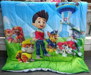 Cartoon Themed Duvets Size 4x6 - 1pc Duvet 1pc Pillowcase.