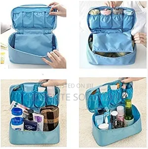 Travel Inner Wear or Travel Make Up Mini Bag Organizer