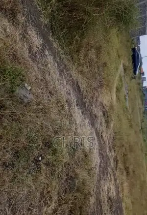 100x100 Plot for Rent