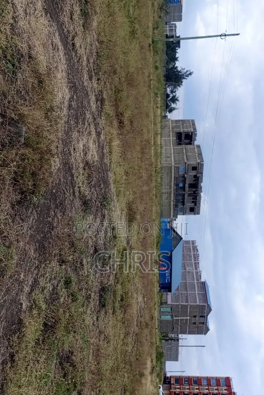 100x100 Plot for Rent