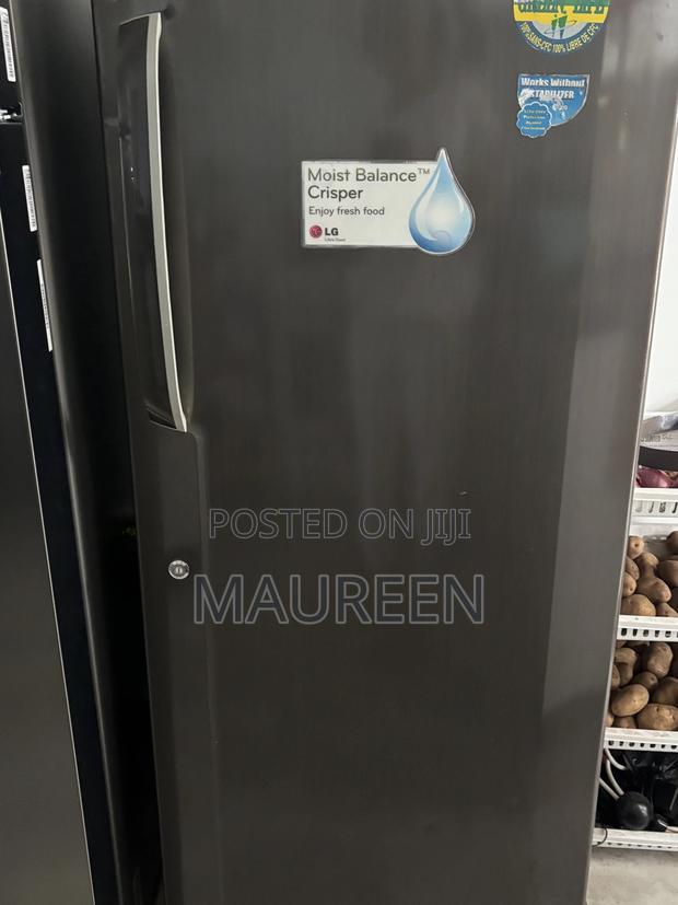 Gently Used Lg Fridge