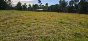 1.5 Acres for Sale in Kipkenyo Eldoret