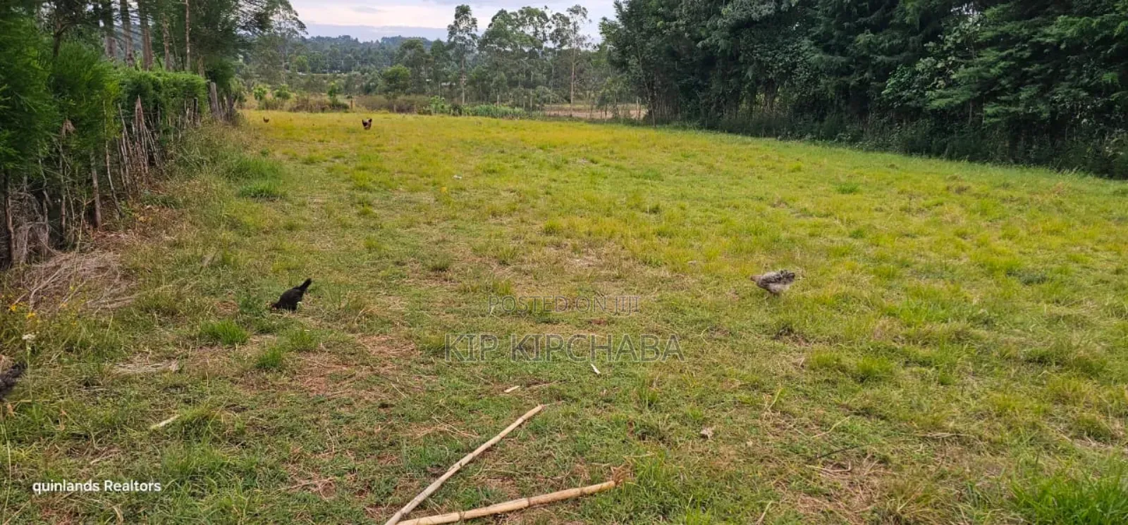 1.5 Acres for Sale in Kipkenyo Eldoret