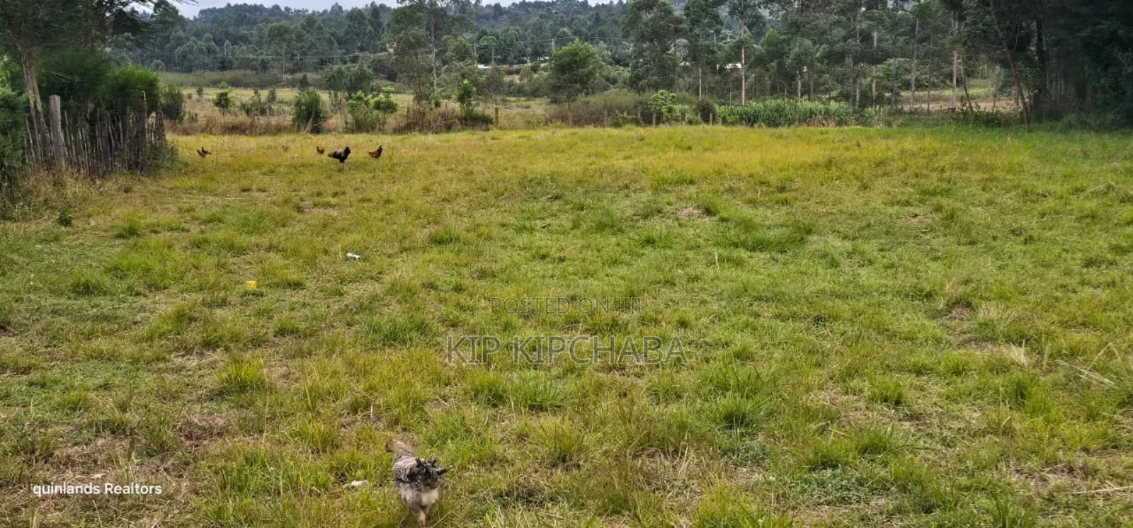 1.5 Acres for Sale in Kipkenyo Eldoret