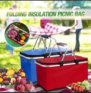 Picnic Foldable Insulated Portable Bag