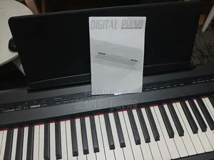 Digital Piano 88 Keys Fully Weighted - Beisite- S194