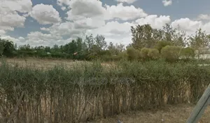 Commercial Land for Sale
