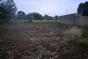 1⁄4 Acre at Mururi 1km From Meru-Nairobi Highway