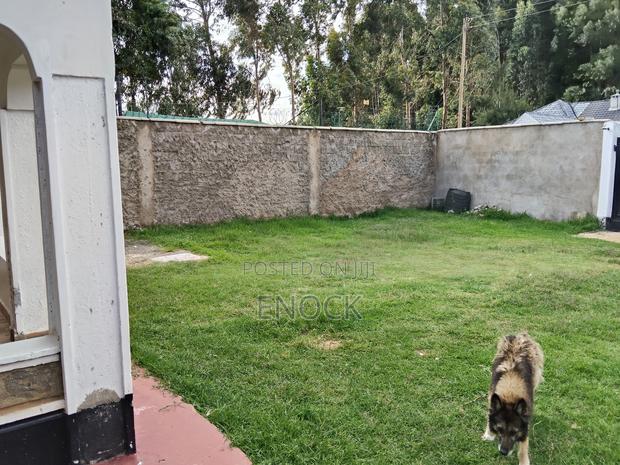3bdrm House in Racecourse for sale - thumbnail 12