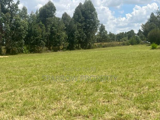 Land for Sale - thumbnail 3