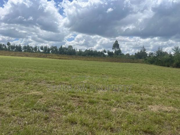 Land for Sale - thumbnail 4