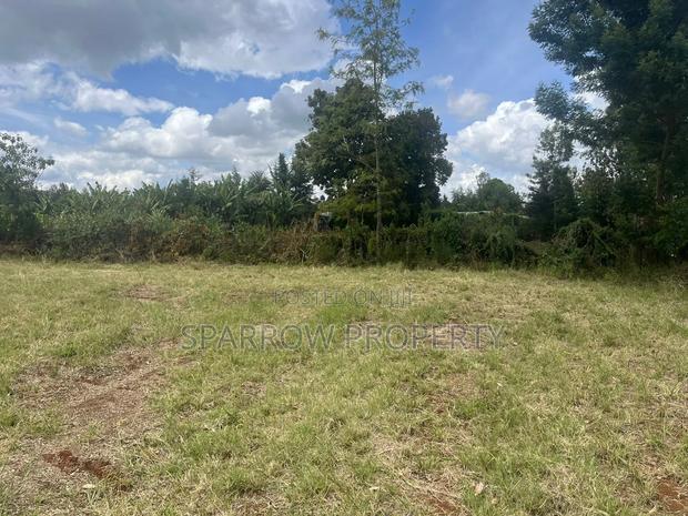 Land for Sale - thumbnail 5