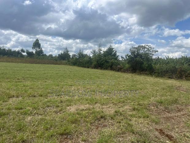 Land for Sale - thumbnail 8