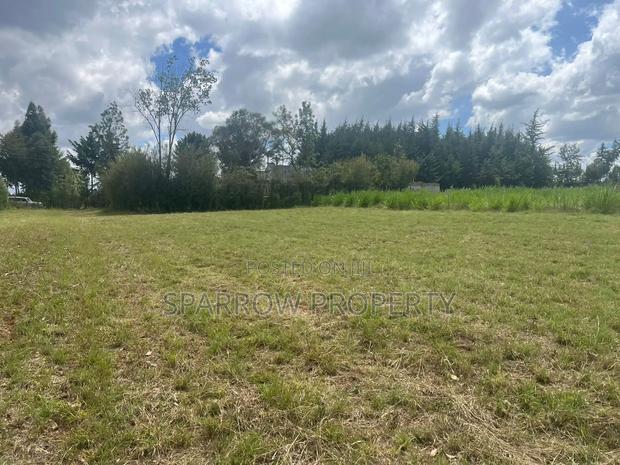 Land for Sale - thumbnail 11