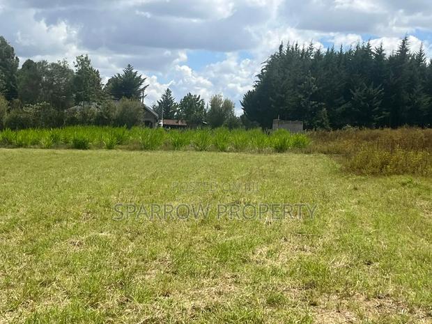 Land for Sale - thumbnail 12