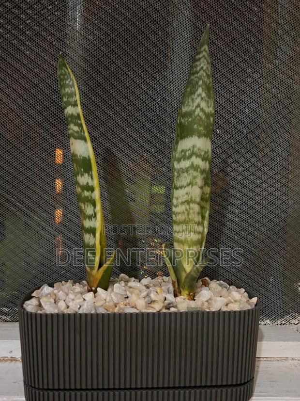 1.5l Rectangle Planter Pot Pot - thumbnail 2