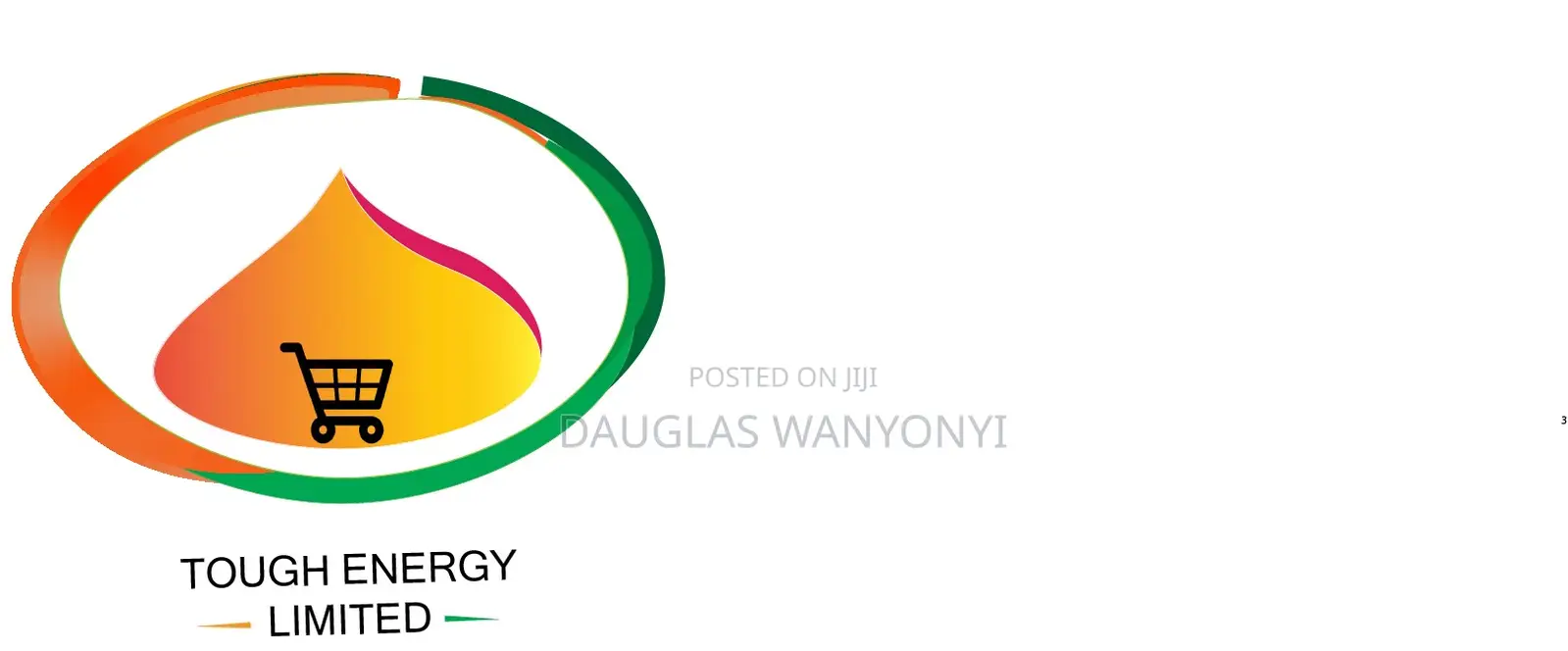 Logo Design Professional Affordable Logo Design