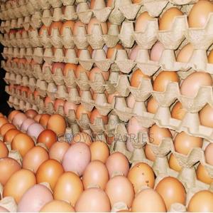 Eggs in Bulk - main view