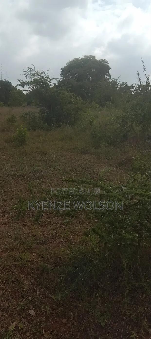 30 Acres on Sale - thumbnail 4