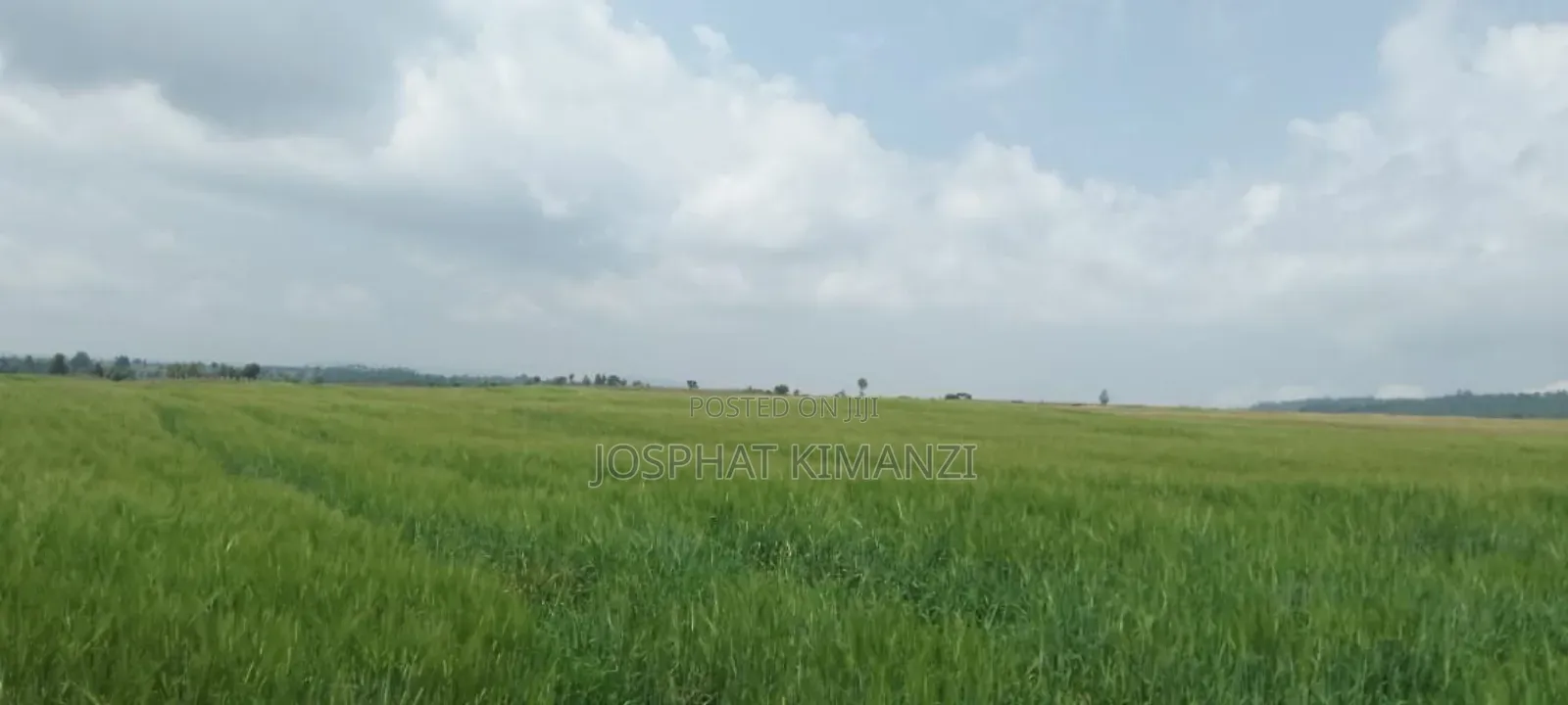 104 Acres for Sale