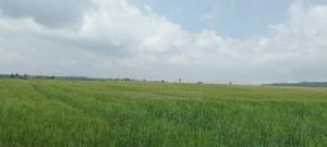 104 Acres for Sale - thumbnail 2