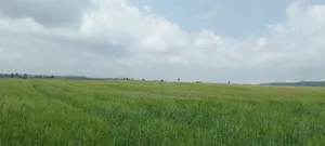 104 Acres for Sale