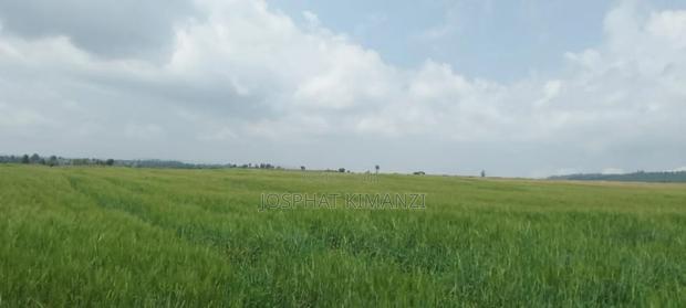 104 Acres for Sale - main view