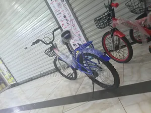 Heavy Duty Asjustable Size 20 Bicycle