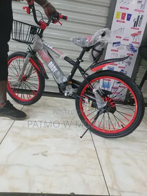 Heavy Duty Asjustable Size 20 Bicycle