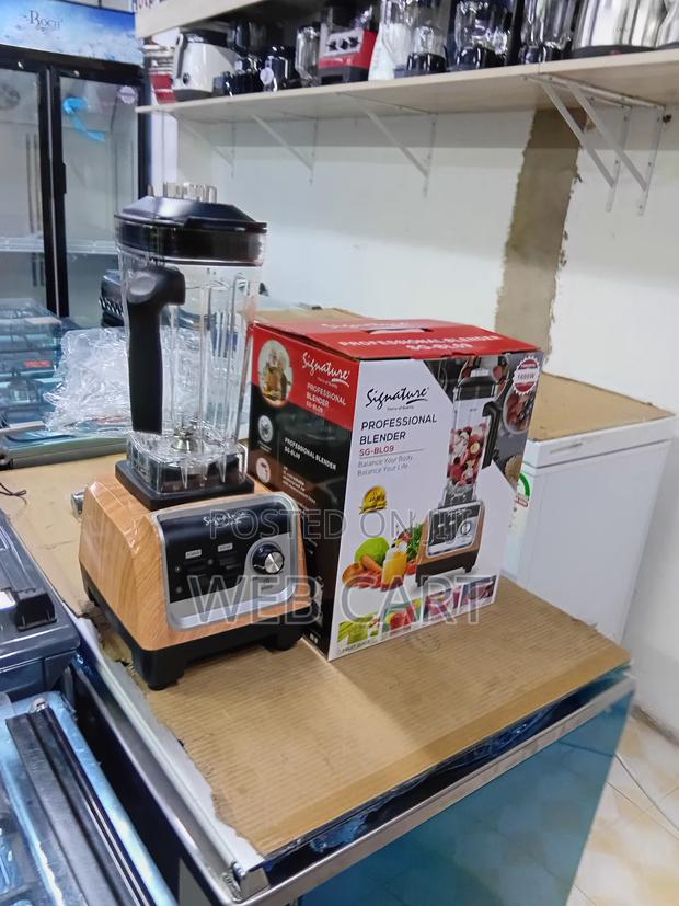 Professional Grade Blender Sl-Bl09 - main view