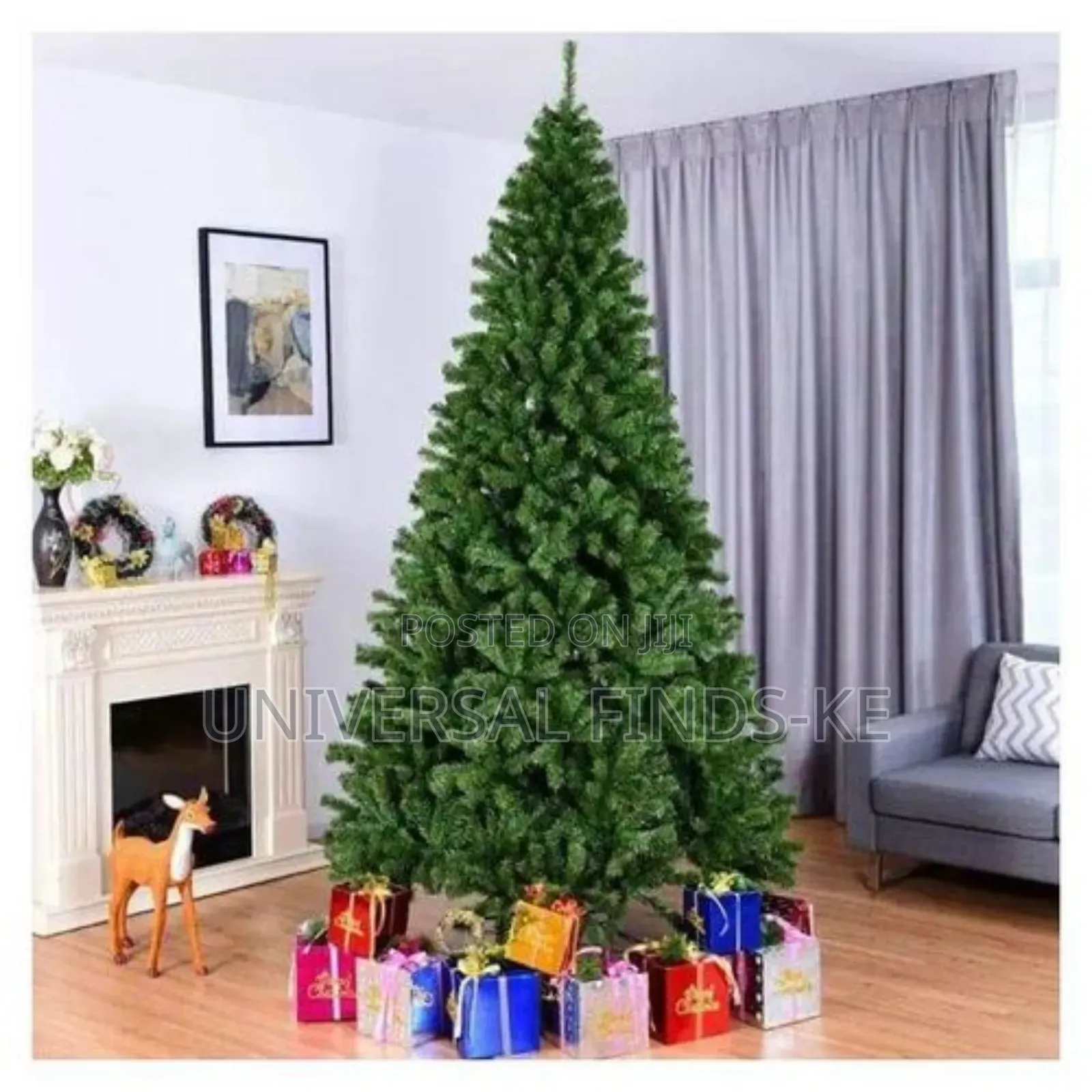 Cyprus Christmas Tree 5ft