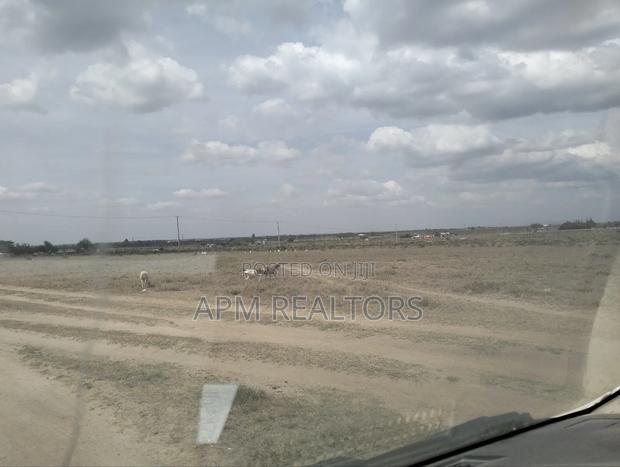 Lenchani Gardens - thumbnail 9