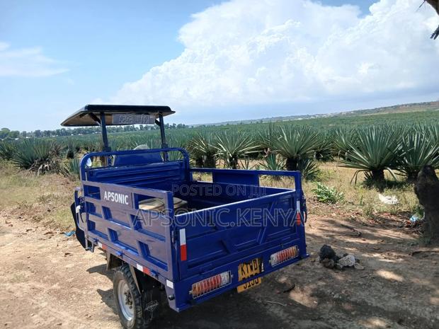 New Apsonic AP250 PRO 2025 Blue - main view