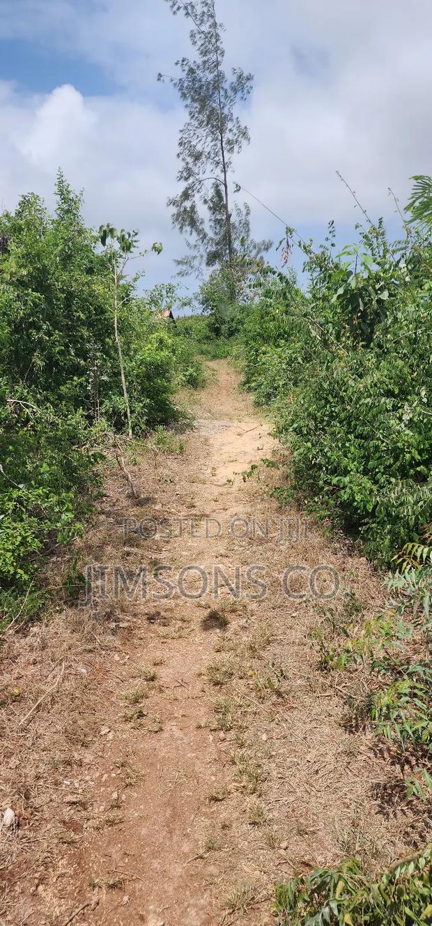 4 Acre Plot in Kilifi Tezo - thumbnail 3